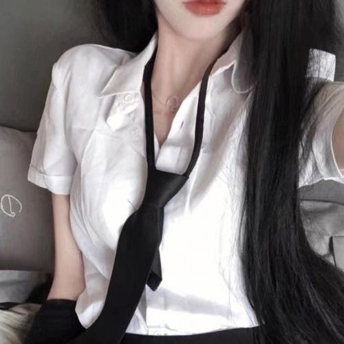 陈辰全明星